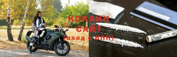 дживик Гусев