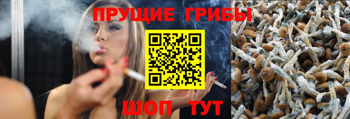 Когалым  Галлюциногенные грибы мицелий  Галлюциногенные грибы прущие грибы  Вход с VPN 